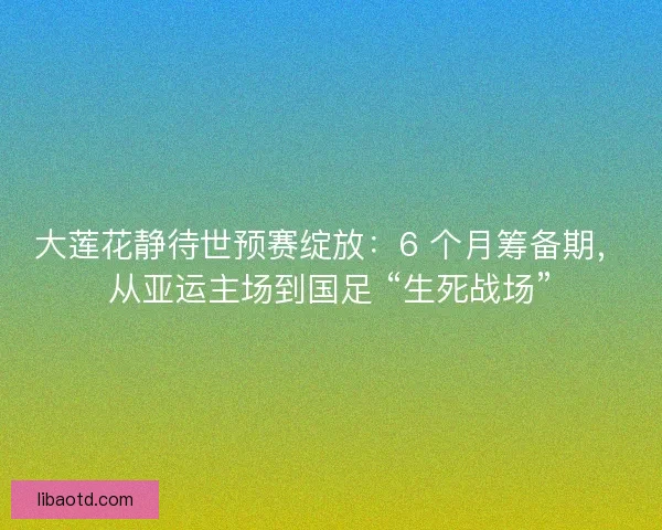 大莲花静待世预赛绽放：6 个月筹备期，从亚运主场到国足 “生死战场”